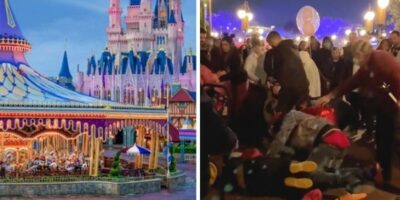 Fight in Disney World