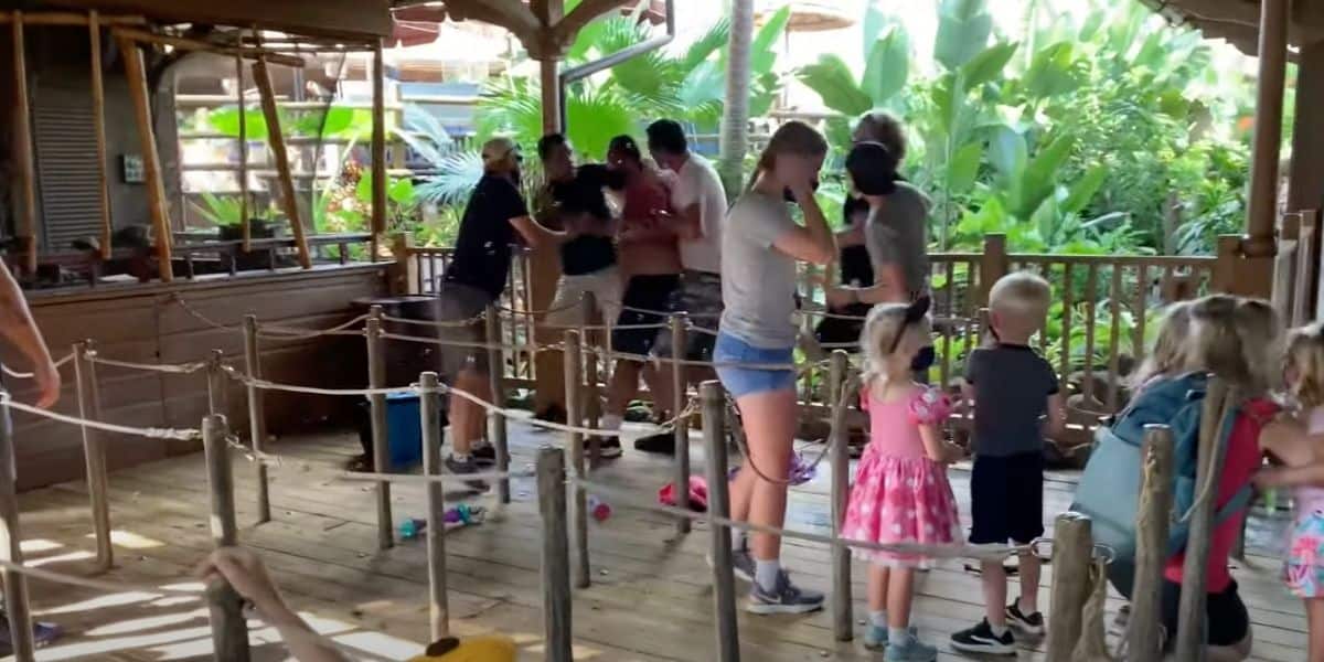 guests break out into fight in jungle cruise line at disney