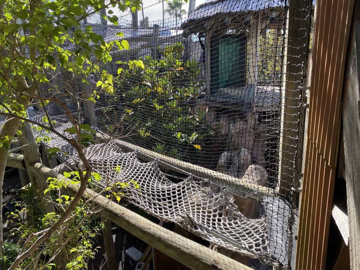 Camp Jurassic refurb