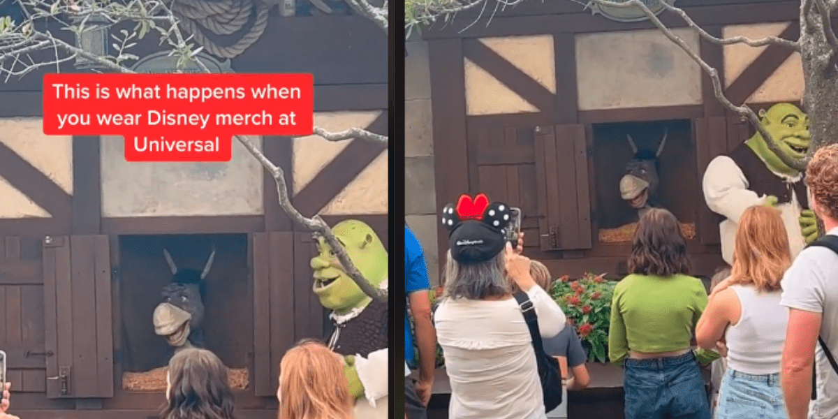 Donkey Roasts Guest at Universal
