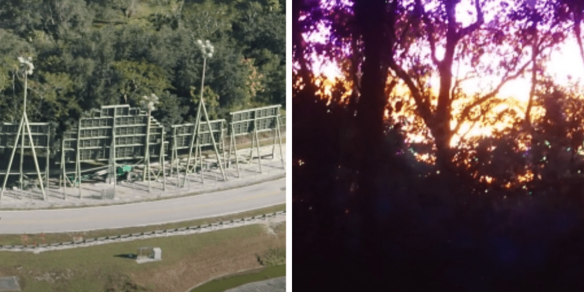 Artificial Sunset at Kilimanjaro Safaris