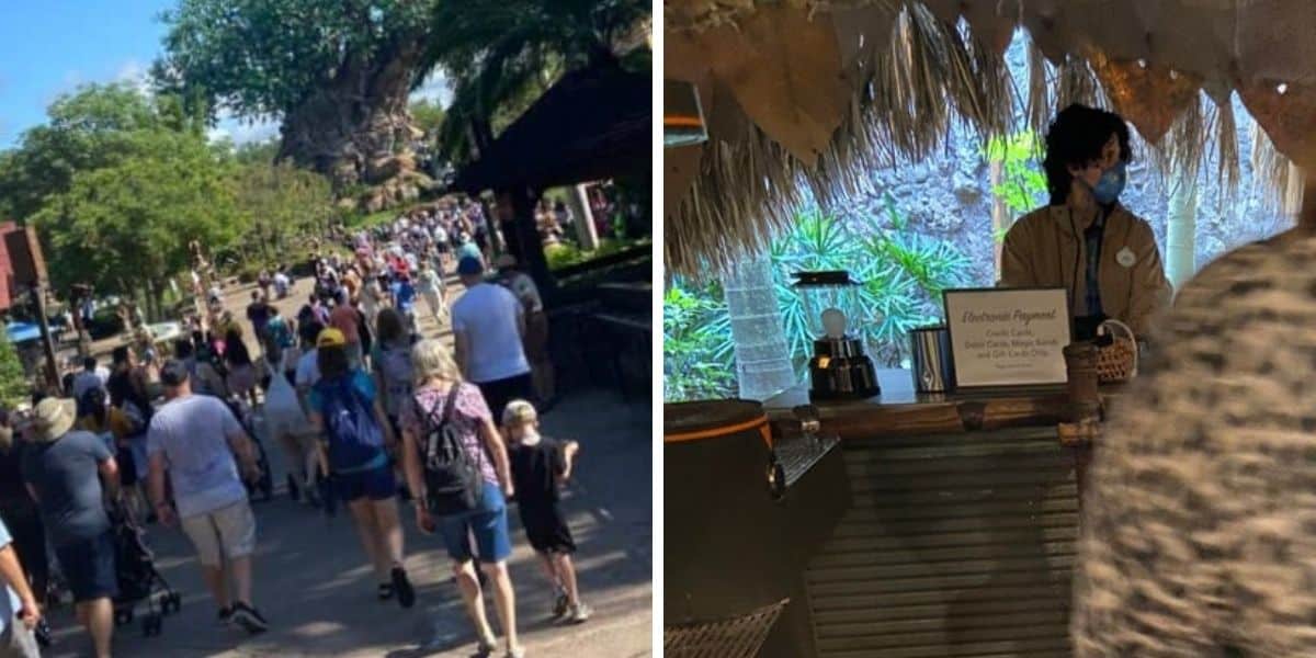 disney world crowds and lines