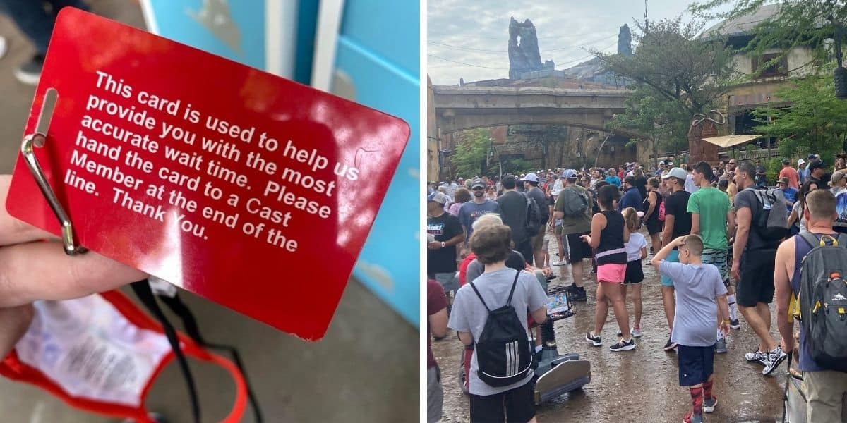 red card system disney