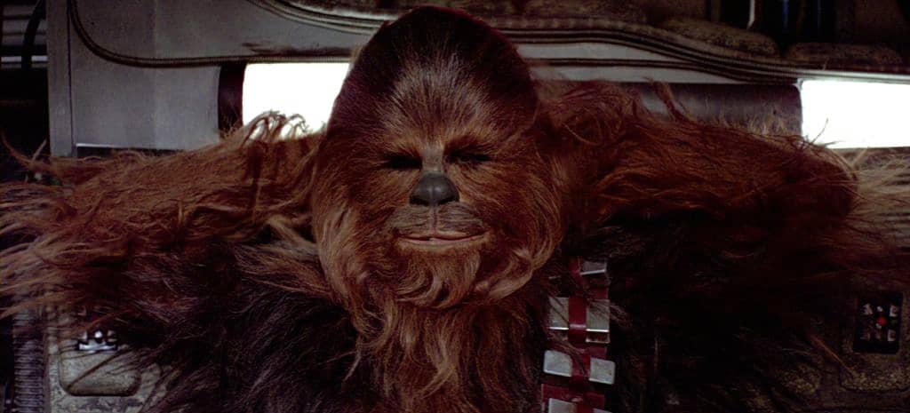 chewbacca