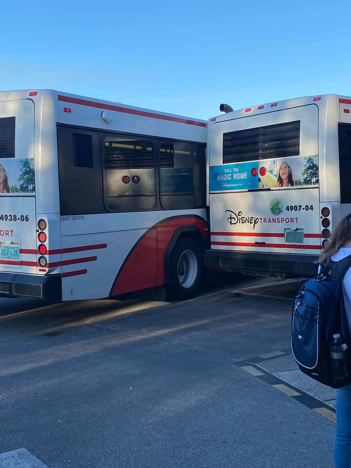 disney world bus crash