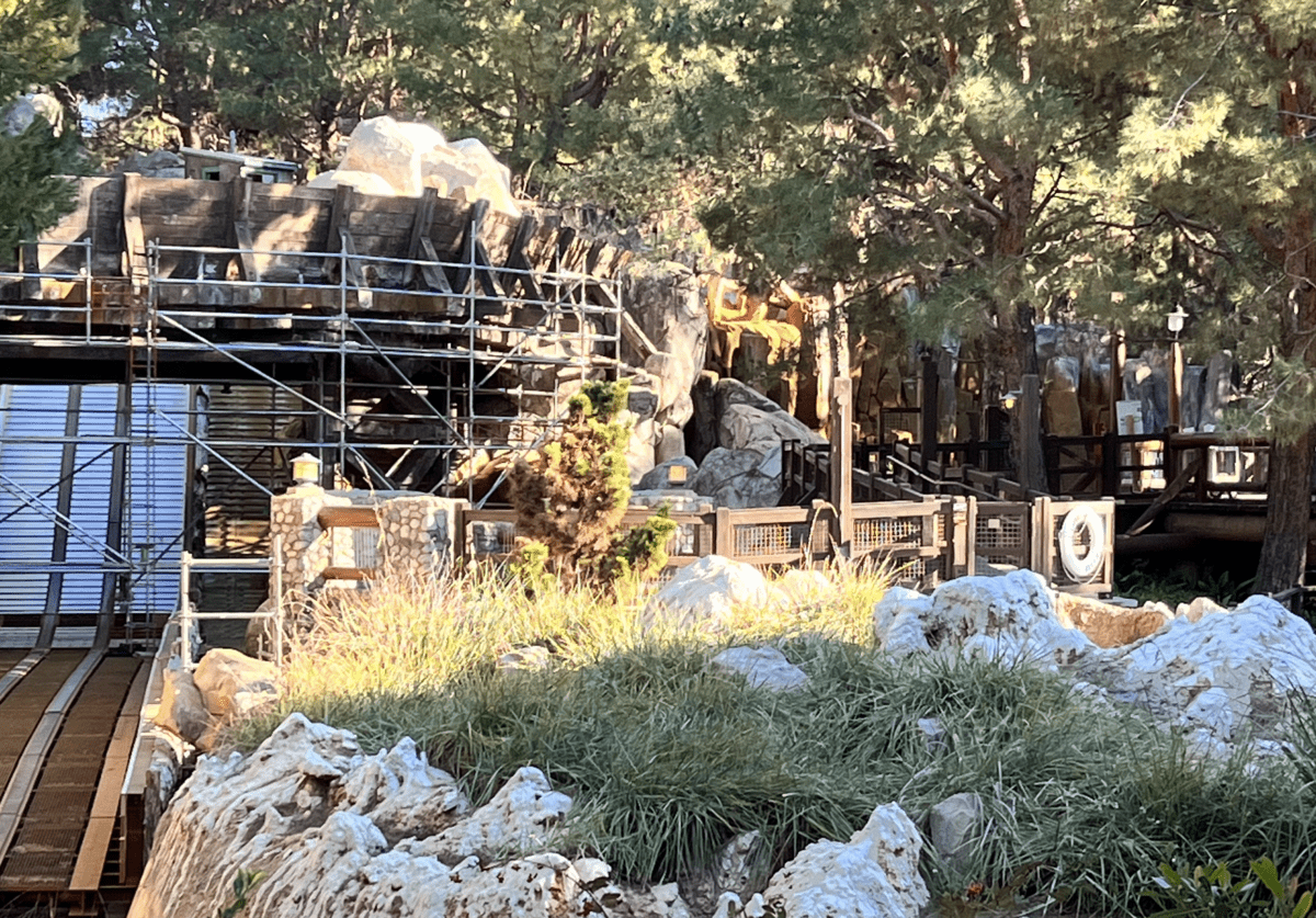 grizzly river run