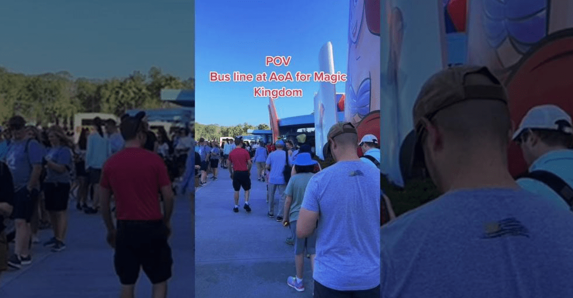 art of animation bus line