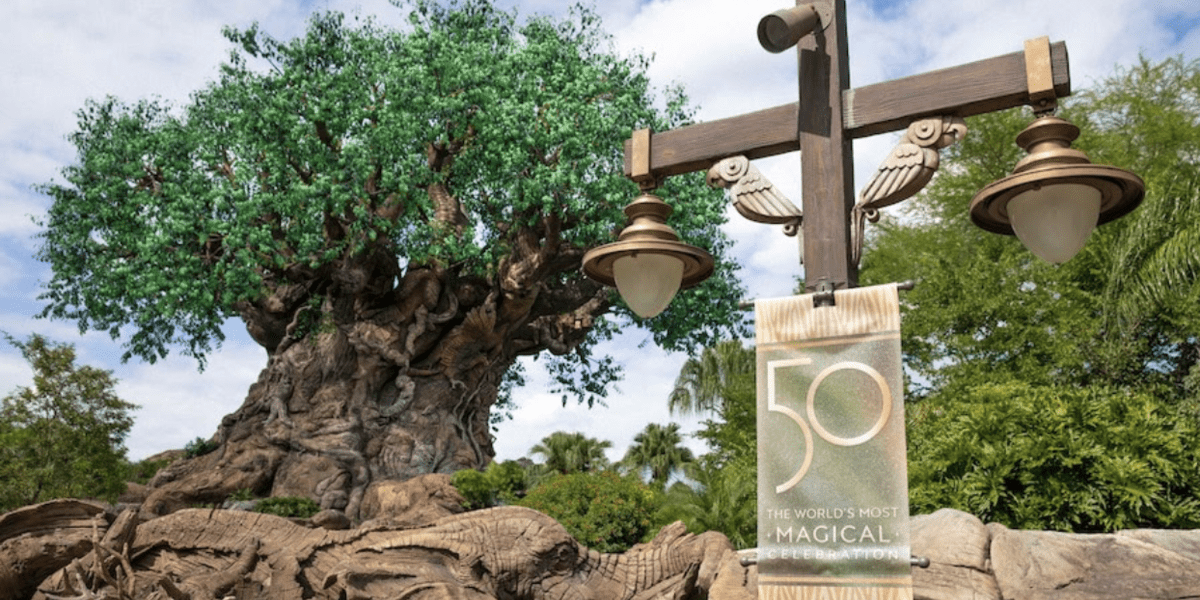 Tree of Life at Animal Kingdom