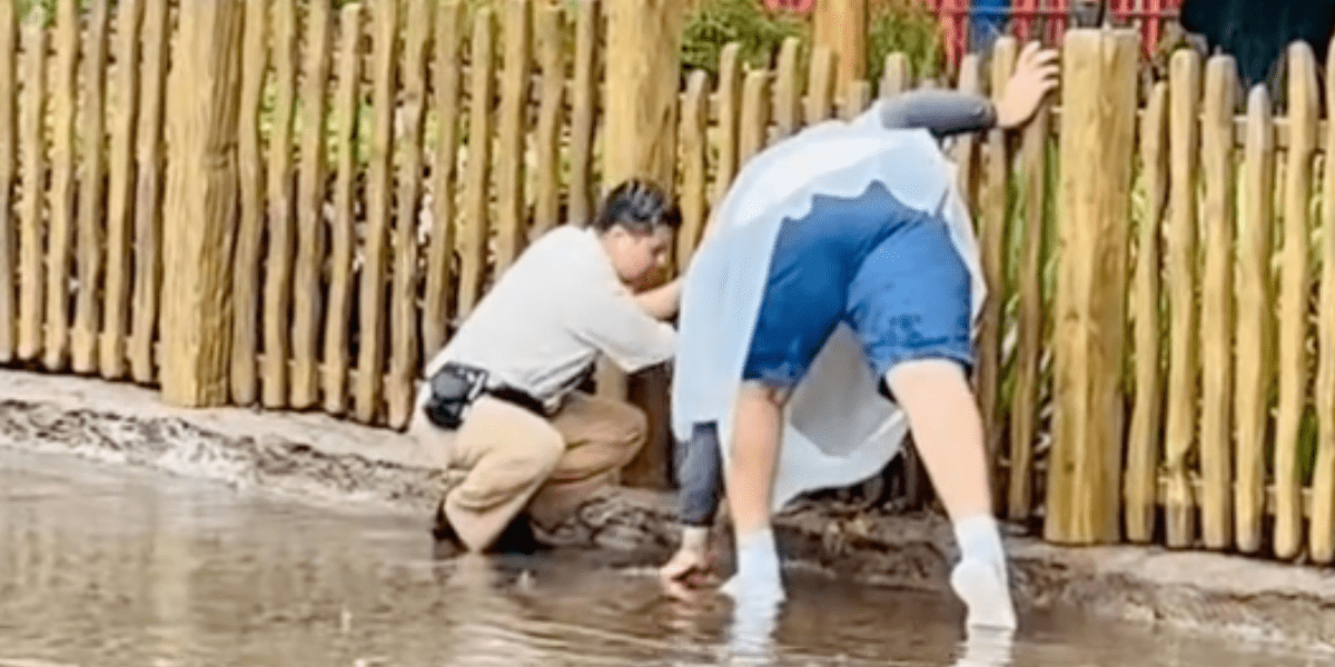 Disney Guest Helps Cast Member