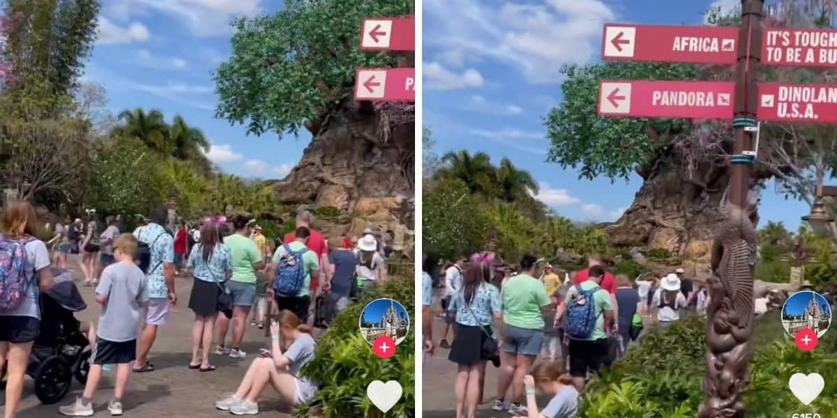 disney world photopass line