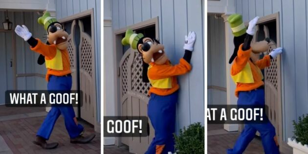 Video: Goofy Walks Into Wall As He Waves Goodbye to Disney Guests