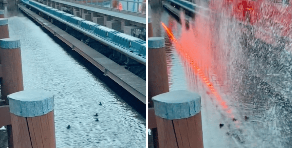 Disney Ducks Incredicoaster