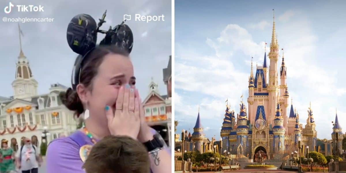 disney world guest cries cinderella castle