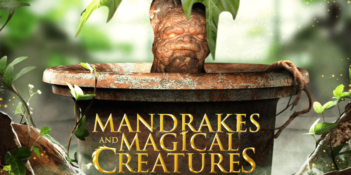 Mandrakes and magical creatures at WB Studio Tour