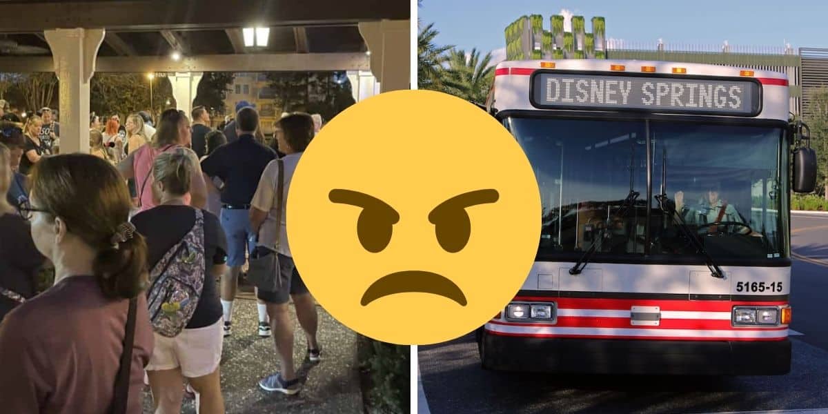 disney world bus crowds system