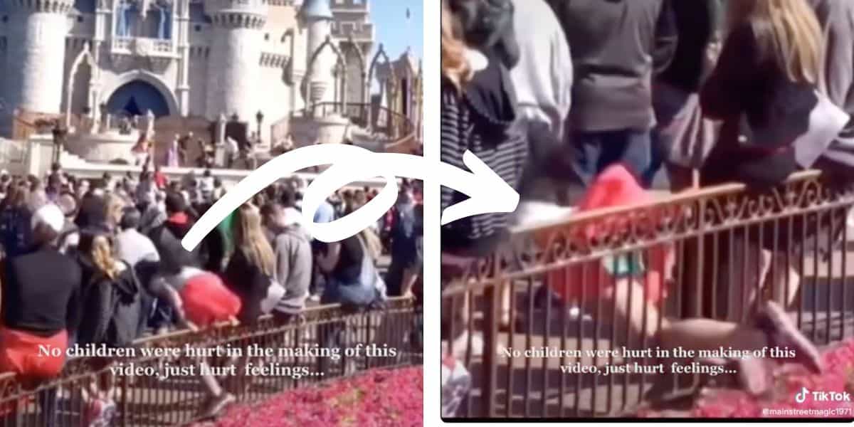 child falls of railing and face plants disney world