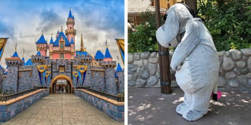disneyland (left) eeyore (right)