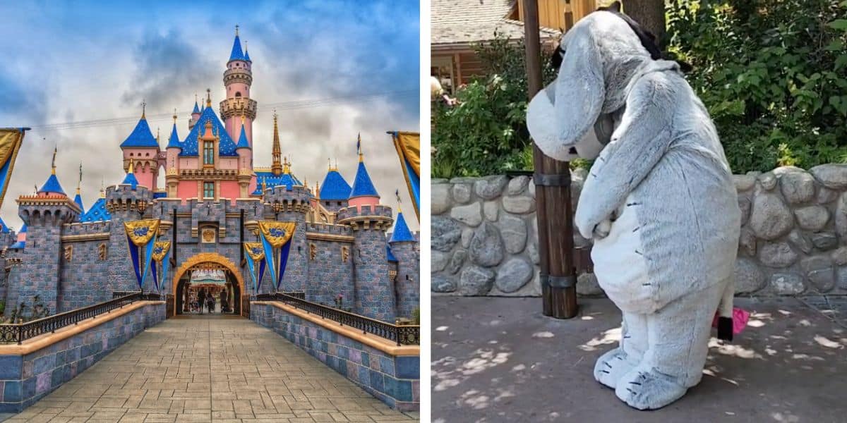 disneyland (left) eeyore (right)