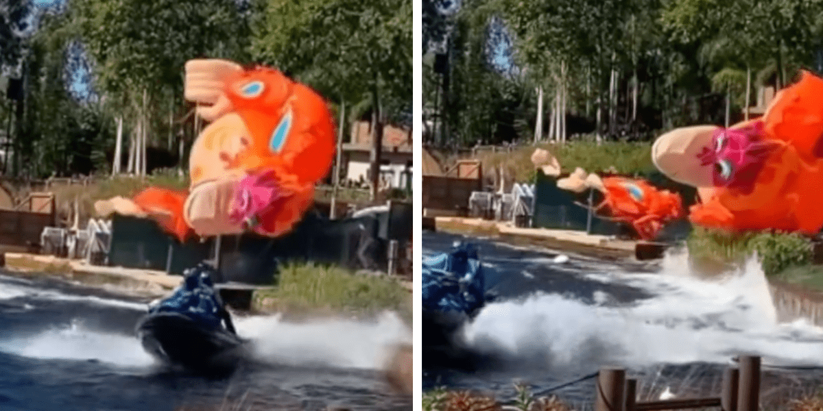 King Louie kite gets caught and rips at Animal Kingdom.