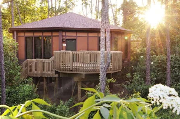 disney treehouse villas sunrise