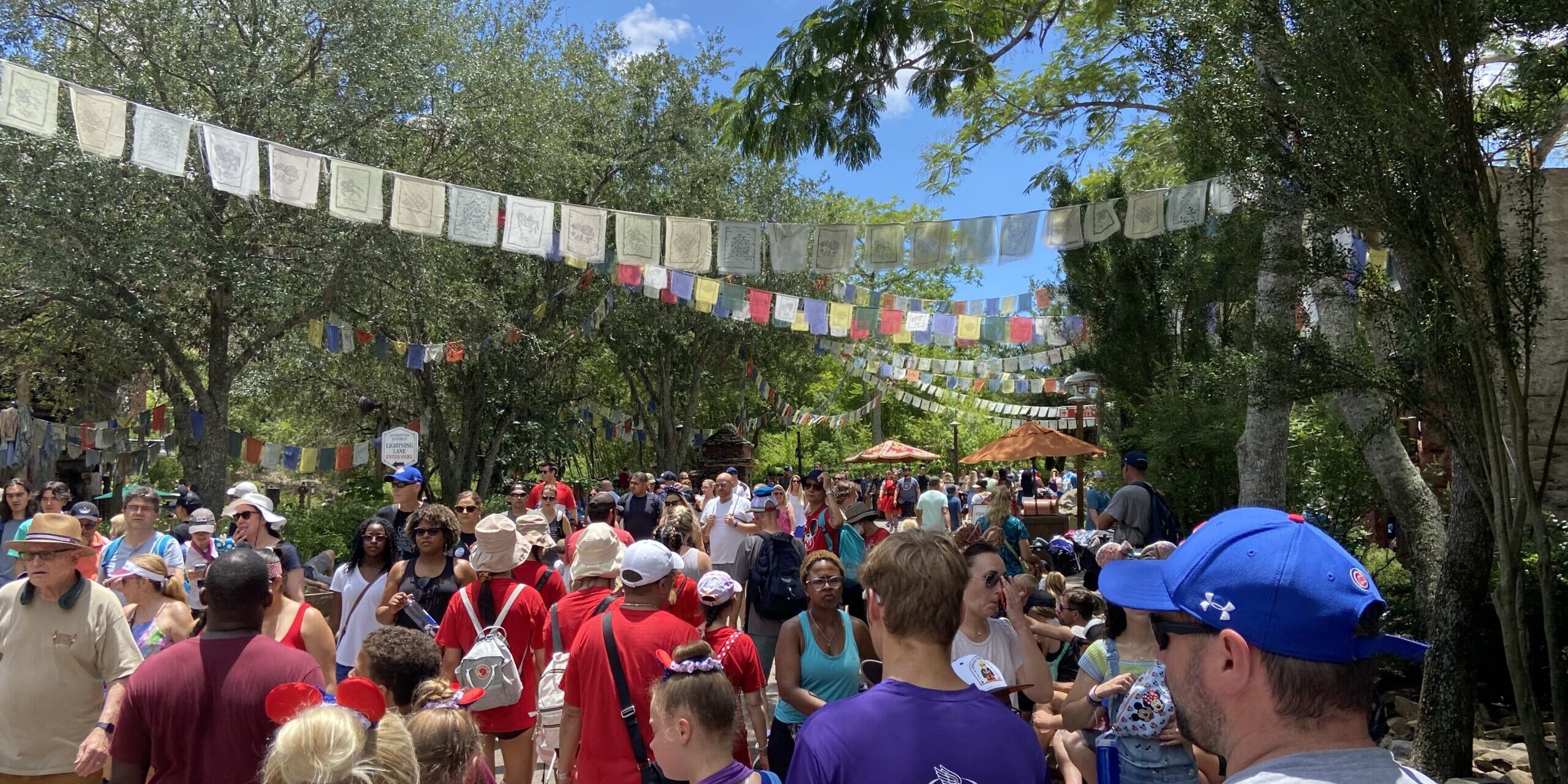 animal kingdom crowds
