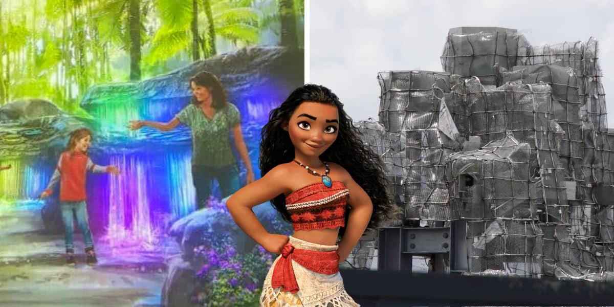 moana journey of water