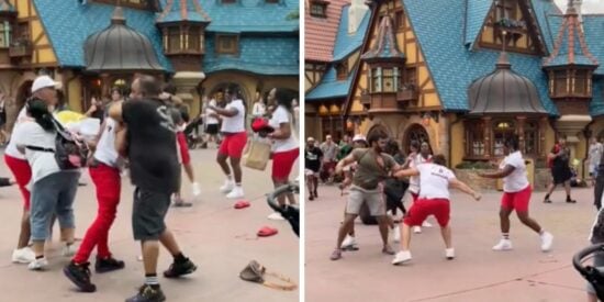 fight disney world