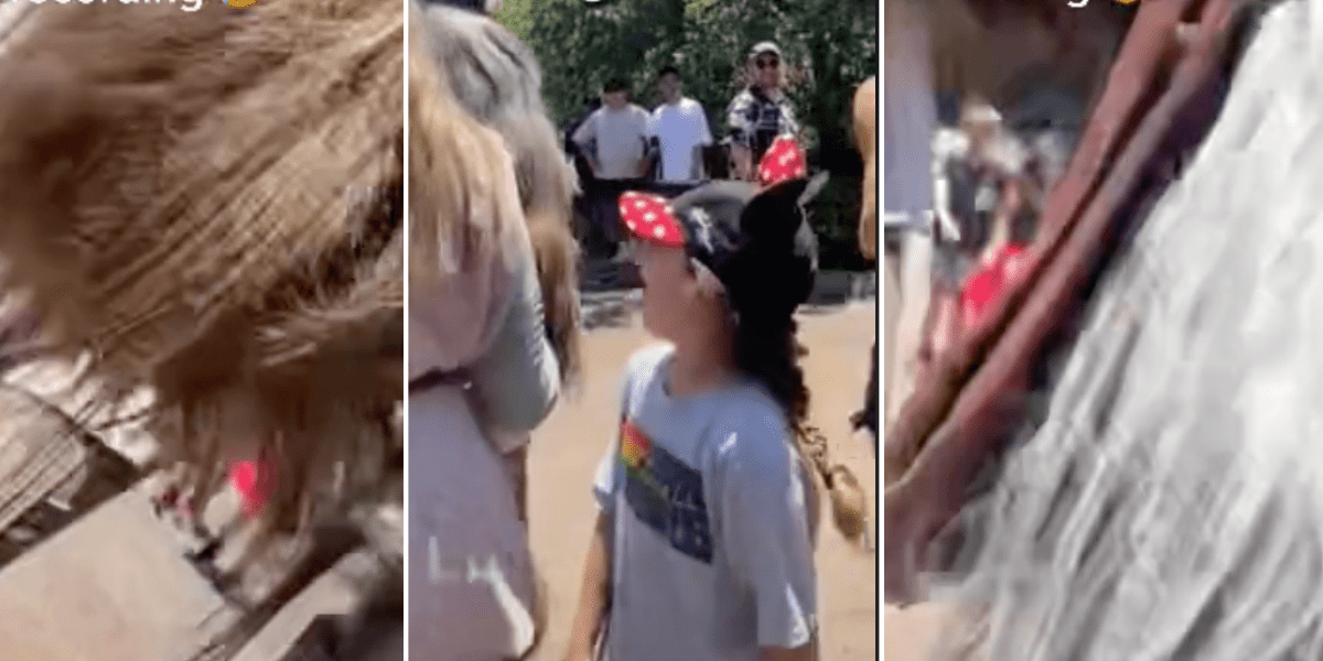 Chewbacca Tramples Guest