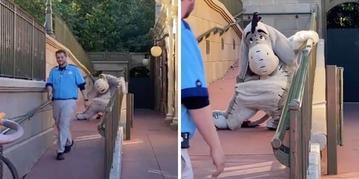 eeyore falls magic kingdom