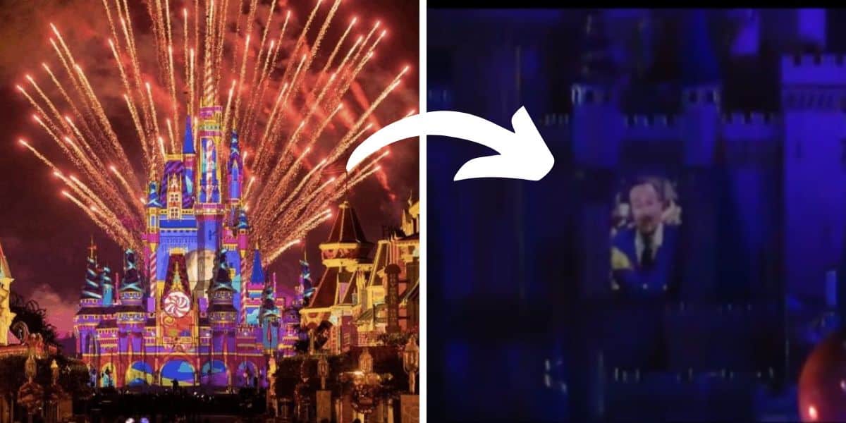 disney enchantment walt projections