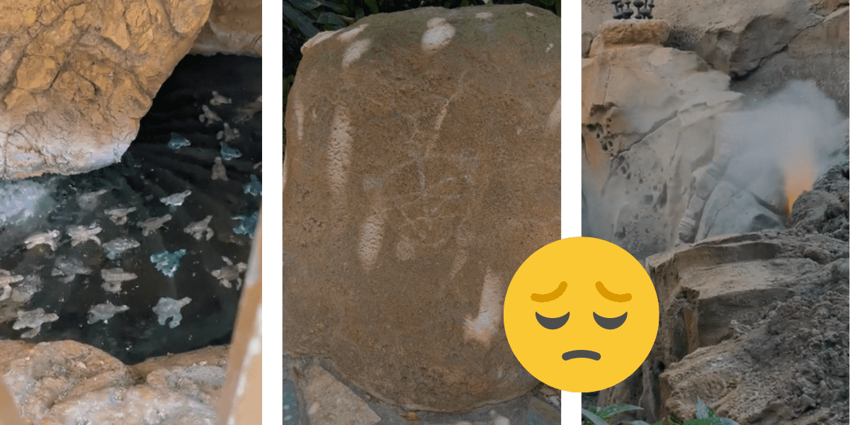 Turtles floating in water, a turtle on a rock, a fake volcano.