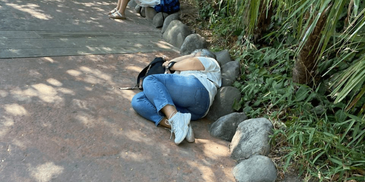 Guest takes a nap in the middle of disneyland paris