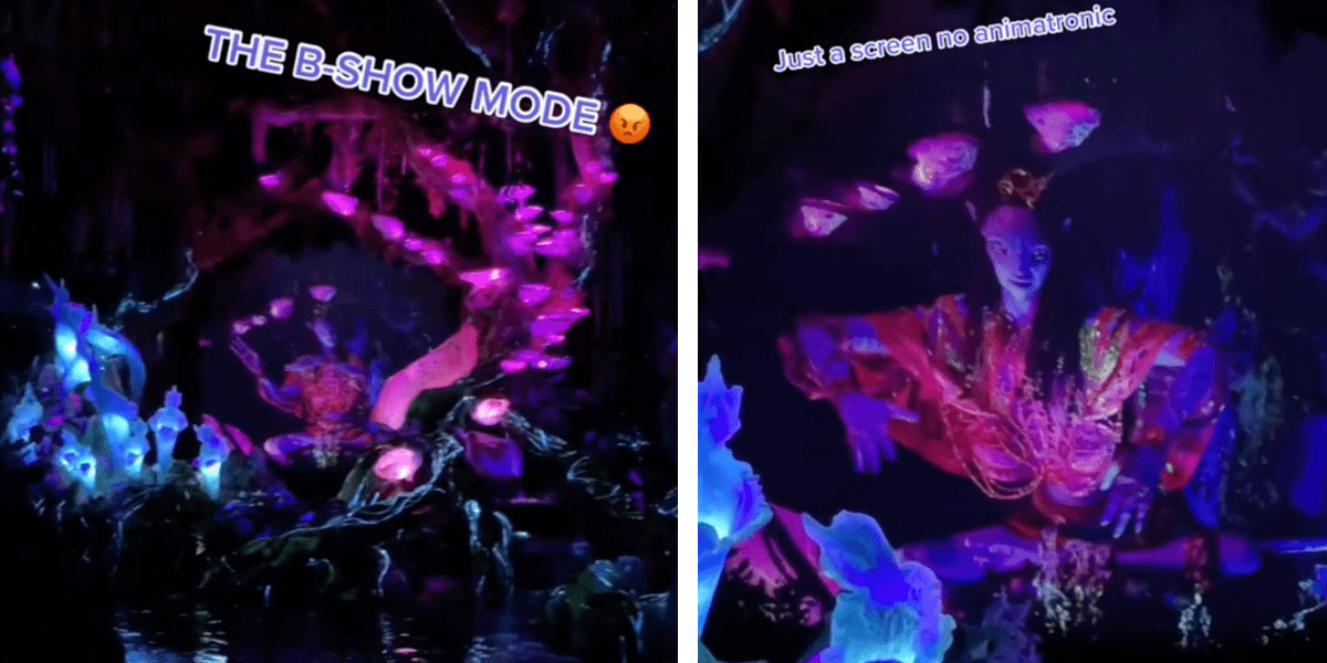A screen replaces the Shaman of Songs animatronic on Na'vi River Journey.