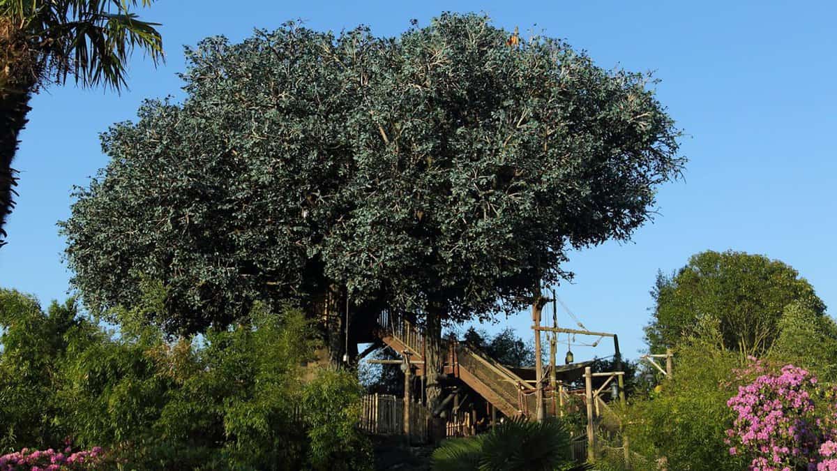 robinson-treehouse-paris