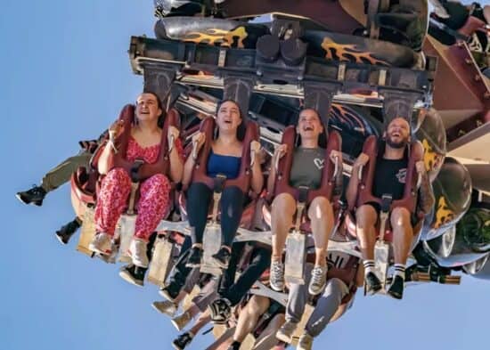 Woman Removed From Multiple Attractions at Theme Park as Breasts Cause  Safety Hazard - Inside the Magic