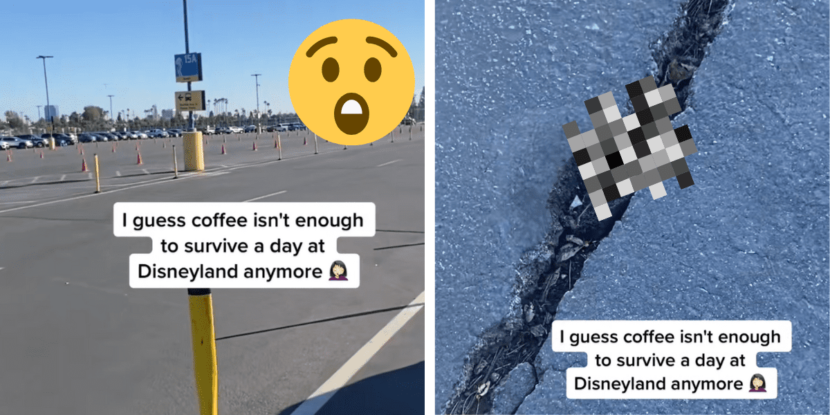 Screenshots from a TikTok showing the Toy Story parking lot at Disneyland. Something is censored in the middle of one of the screenshots.