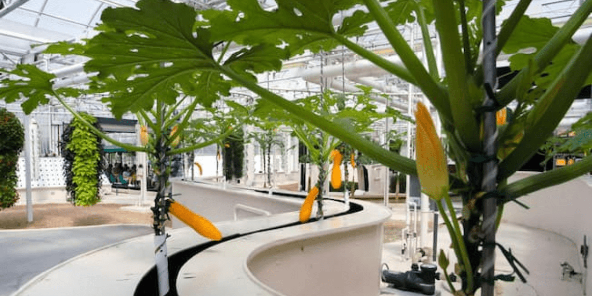 Living with the Land