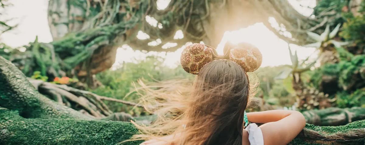 Disney World arrested