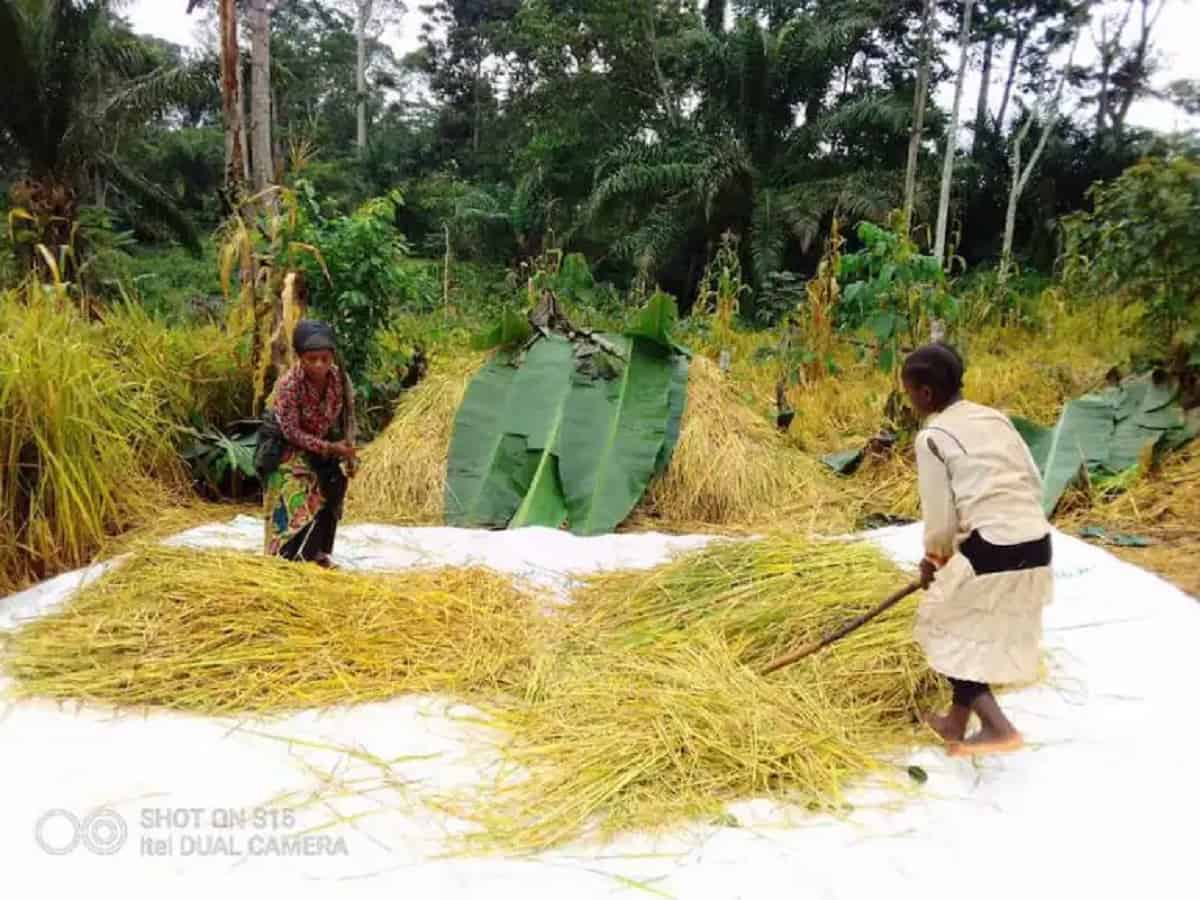 Disney Supports Worldwide Conservation Efforts in a Major Way