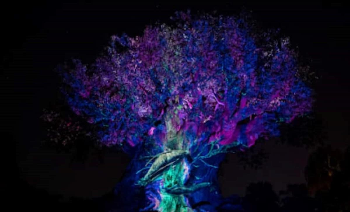 The Tree of Life at Disney's Animal Kingdom illuminated to celebrate the premiere of Avatar: The Way of Water