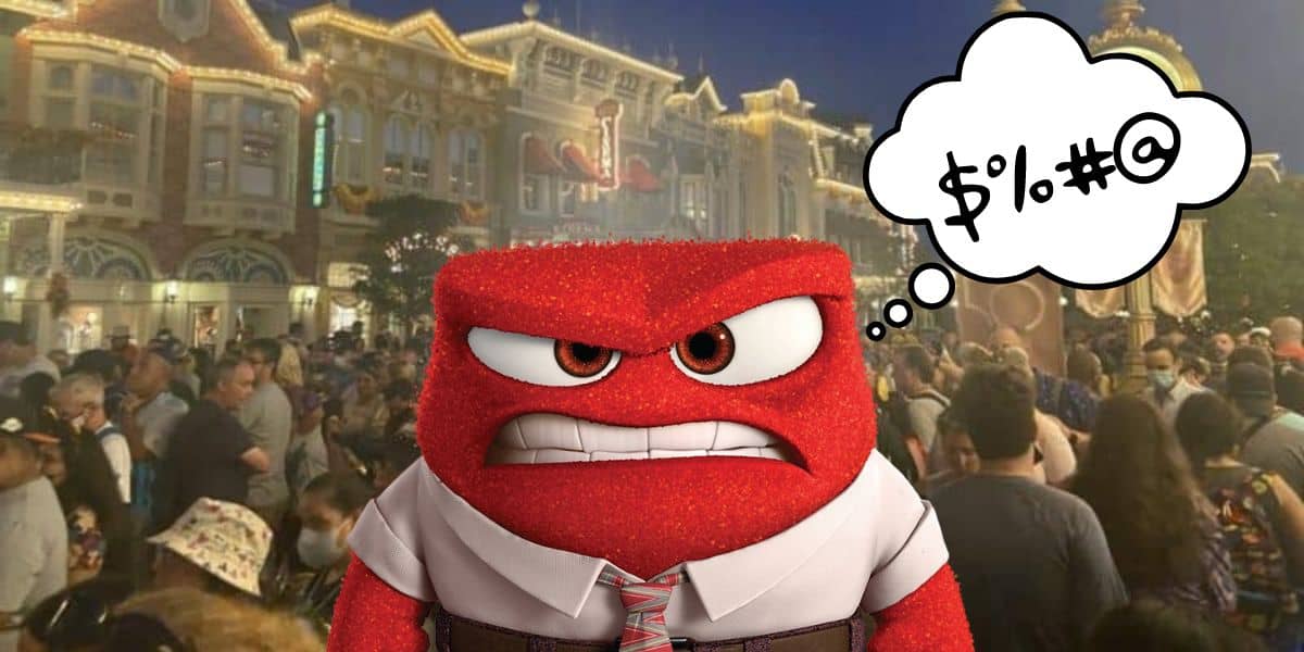 Anger at Disneyland