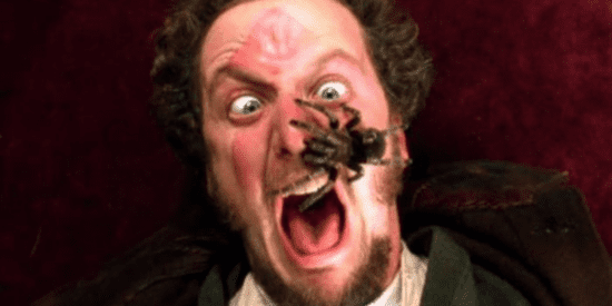 Spider booby trap