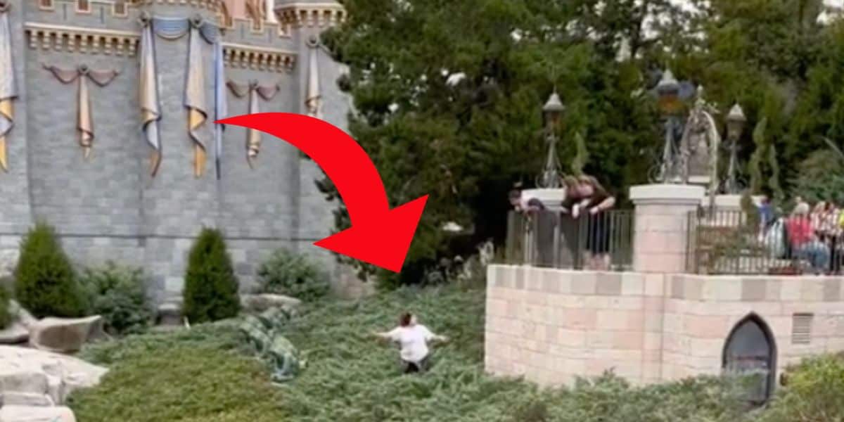 guest-climbs-castle