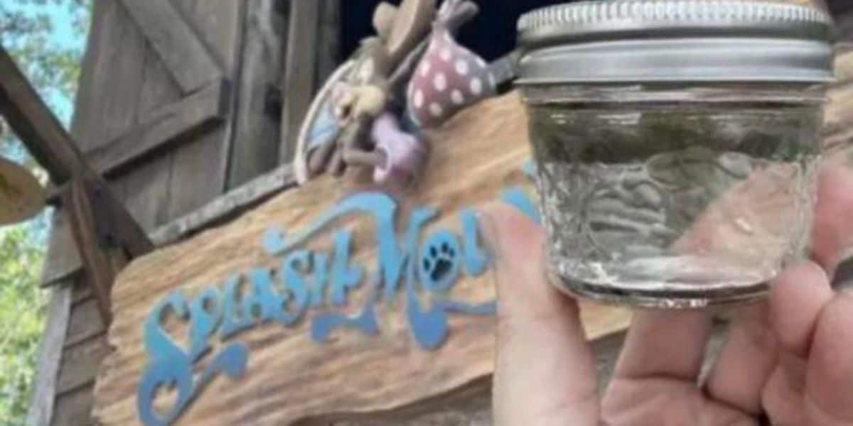 Splash Mountain Water