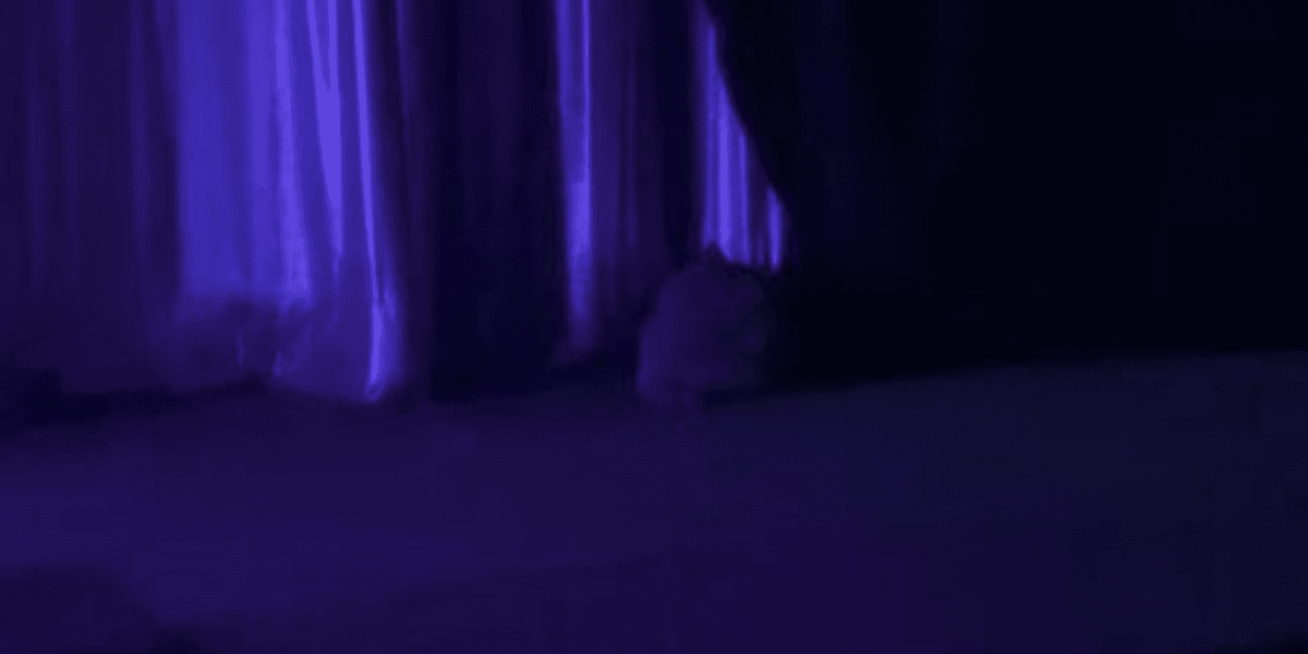Cat on Carousel of Progress