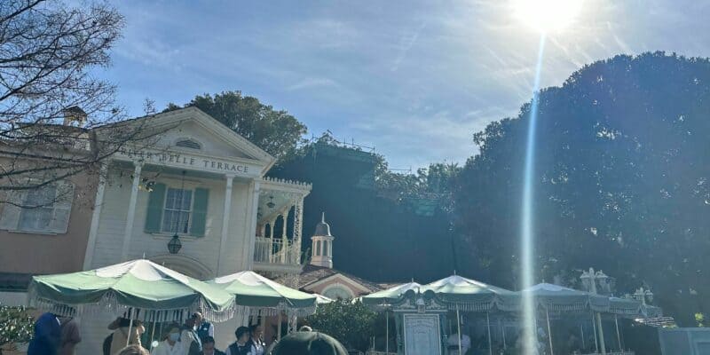 Tarzan's Treehouse construction