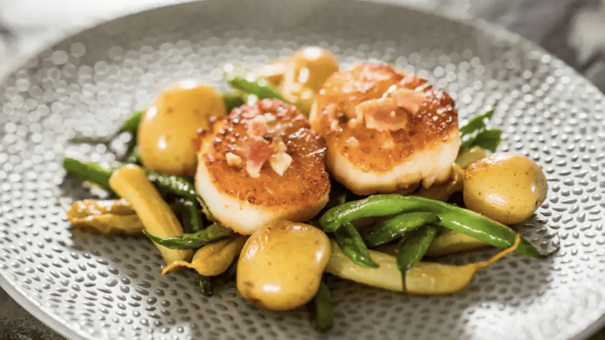 A plate of seared scallops.