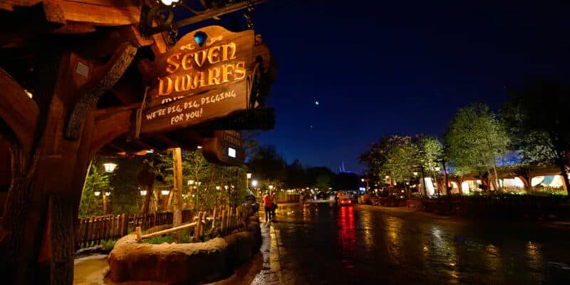 Seven Dwarfs Mine Train at Magic Kingdom.