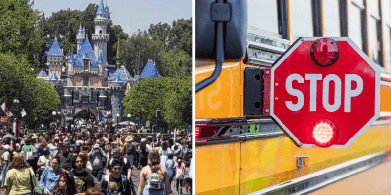 Left: A massive crowd in front of Sleeping Beauty Castle on a busy day. Right: A red STOP sign extends out from a yellow school bus.