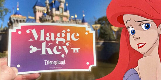 Disneyland Magic Key Ticket, confused character Arielle and Disneyland on the background